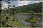 Kleiner Arbersee Sommer 2010