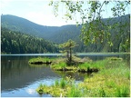  Bayerischer Wald