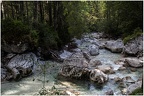 Zauberwald Impressionen 2