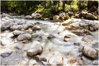 Zauberwald Impressionen 3