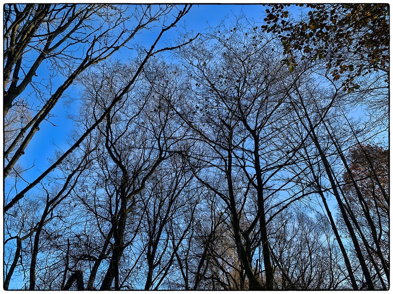 Blue Sky.jpg