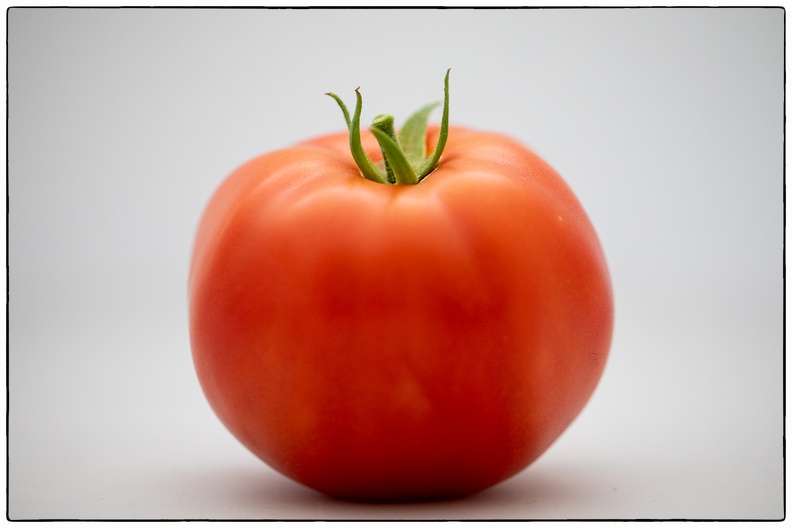 Tomato.jpg