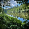 Wild u.Romantisch