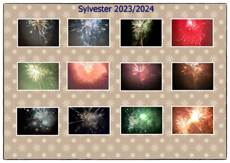 Sylvester 2023.jpg