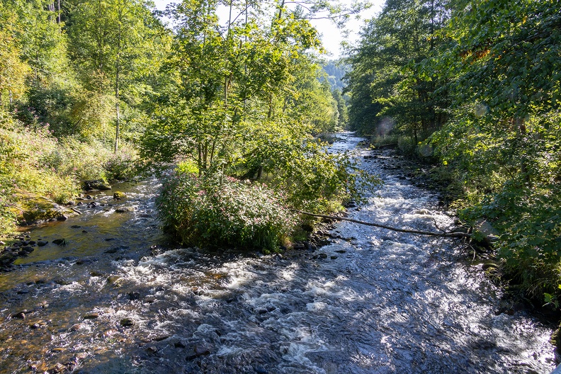 In der Wildbachklamm