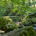 Wildbachklamm