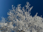 Eiskristalle