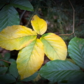 Herbstzeit